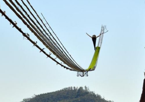 Leaping into Adventure: The Thrills of Bungee Jumping