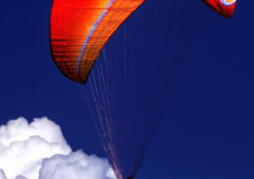 Paragliding Dreams: Soaring into Wild Adventures Above