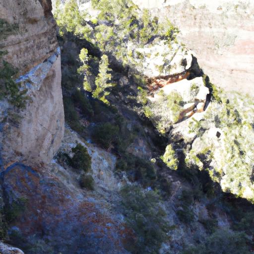 Rich Biodiversity: Wildlife Occupying Canyon Zones