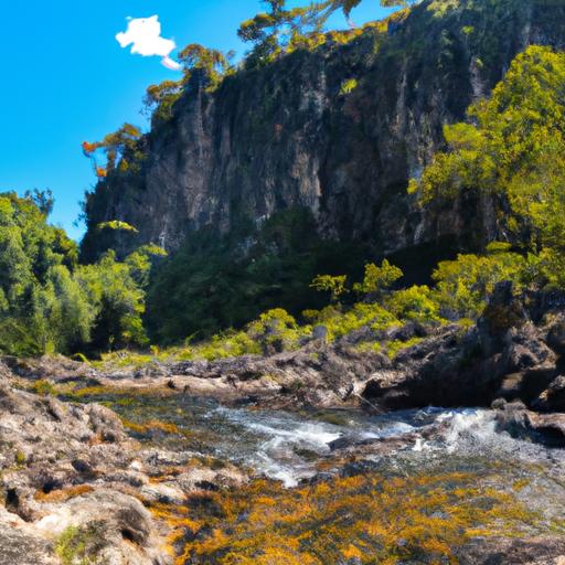 Exploring River Ecosystems' Wonders