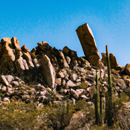 The Enigmatic Beauty of Desert Landscapes