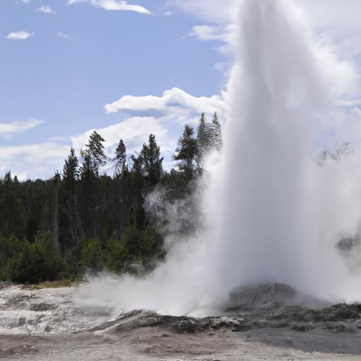 Conservation Initiatives for Geyser Environments