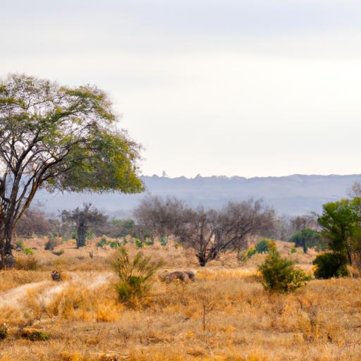 Exploring Distinctive Ecosystems: The Essence of Safari Journeys