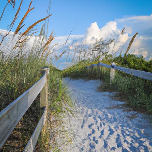 Enjoying Romantic Beach Walks Creating Lasting Memories